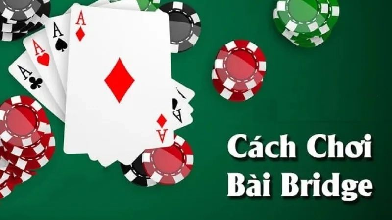 Cách chơi bài Bridge dễ thực hiện nhất